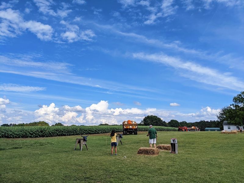 The Best Time to Visit for Peak Berry Picking