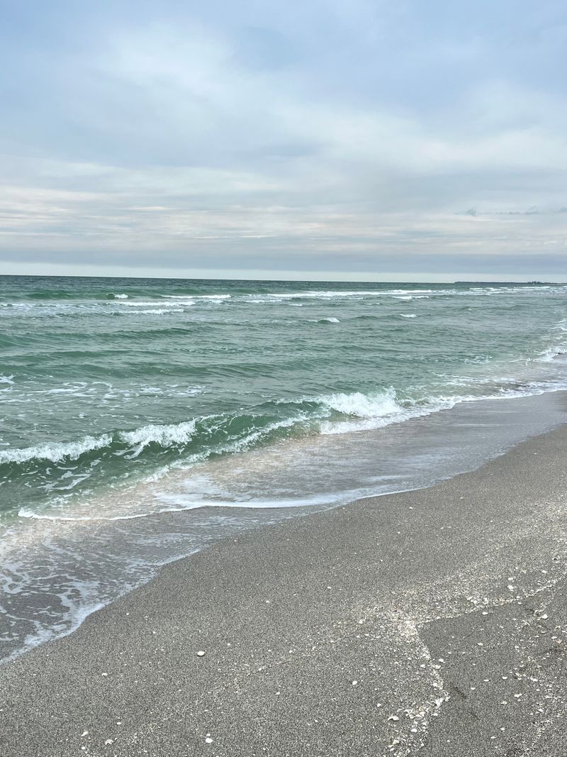 The Gulf Currents & Tides That Deliver Daily Treasures