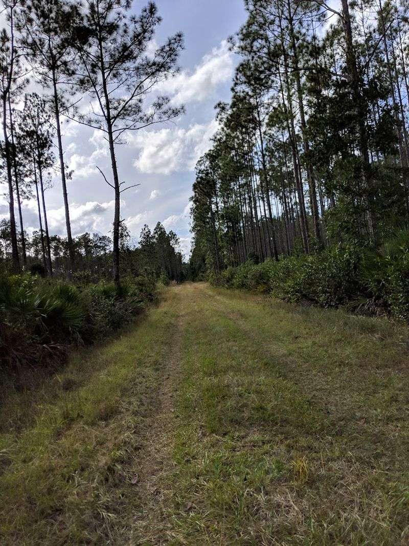 Winding Through Untouched Wilderness