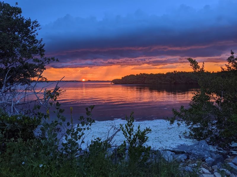 Best Season and Timing for Electric Blue Tours