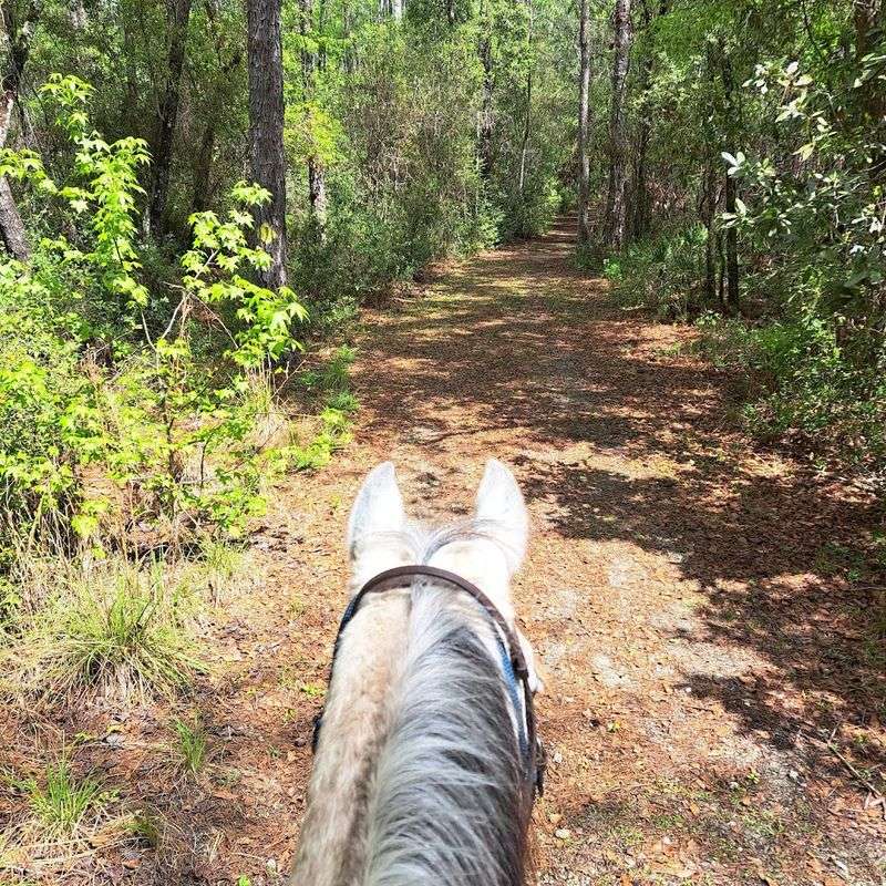 Horse-Friendly Multi-Use Trails