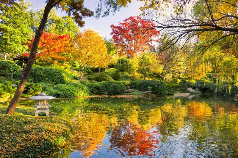 Fort Worth Botanic Garden (Fort Worth)