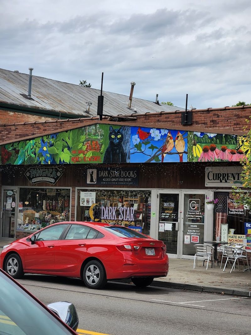 Downtown Art And Murals