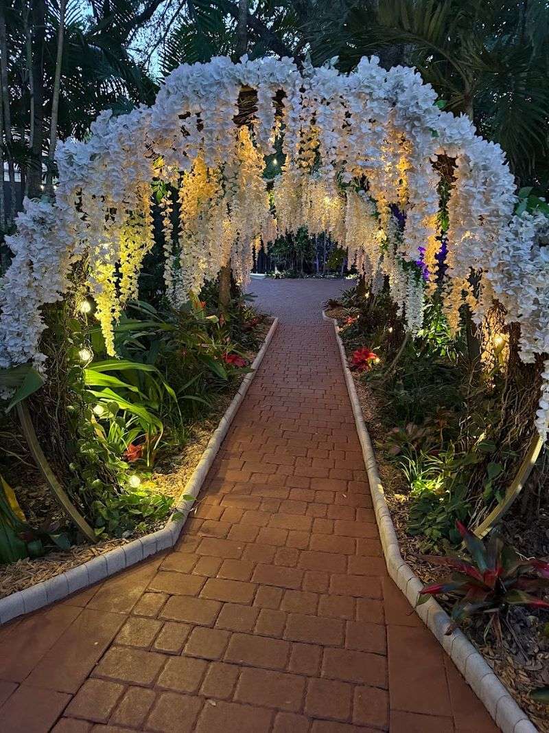 Night-Blooming Flowers for Evening Events