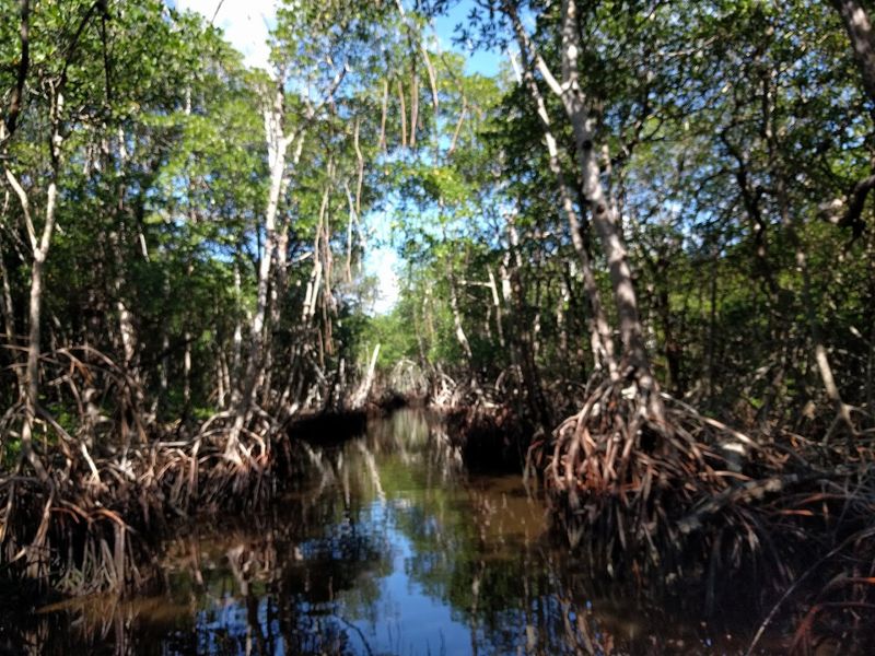 Gear Requirements Beyond Normal Backpacking