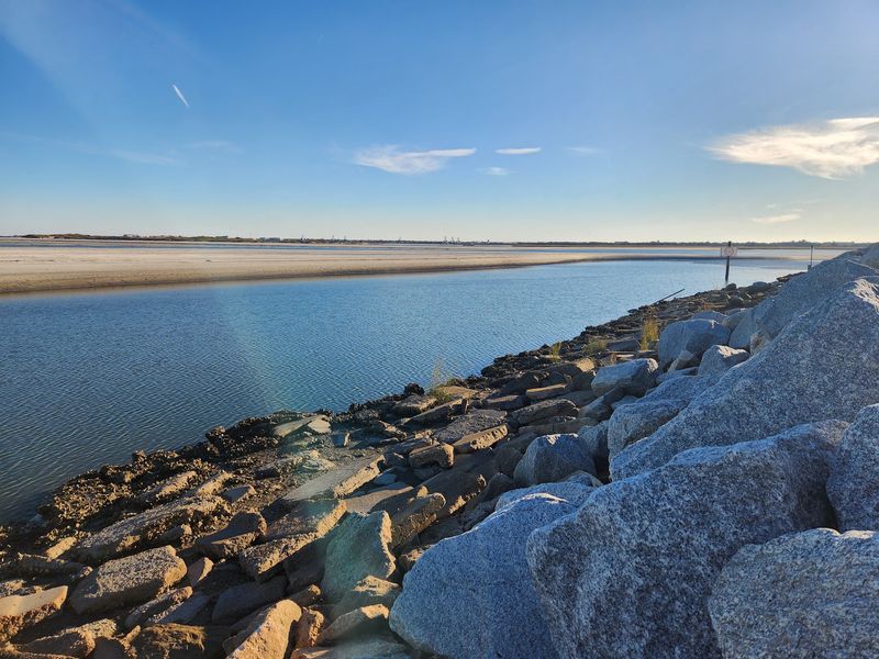 Timucuan Trail at Little Talbot Island State Park (Jacksonville)