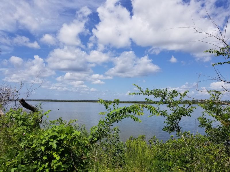 The Mosquito Lagoon That Shaped Daily Existence