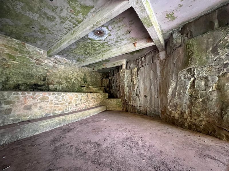 The Story Behind Dunbar Cave's Prehistoric Art