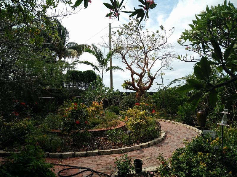 Butterfly Garden Without Entry Fees or Crowds