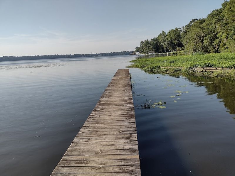 Nature and Weekend Fun Around Lake Talquin