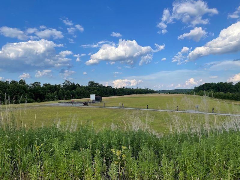 Cherry Springs State Park, Potter County, Pennsylvania