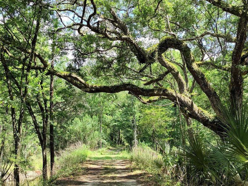 Easy Escape From Orlando's Tourist Chaos