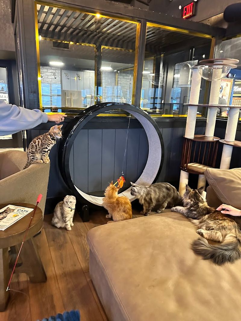 A Boutique Experience That Feels Like a Friend's Living Room