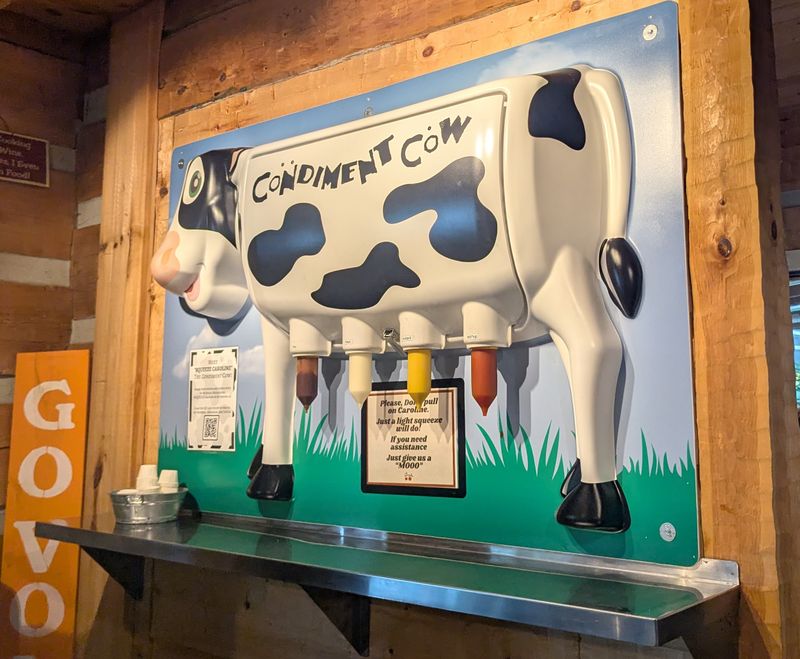 What to Know Before You Go