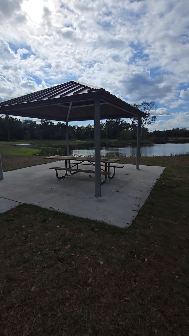 Picnic Shelters for Outdoor Meals and Reading