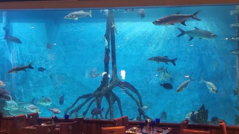 Service Shoutouts and Special Requests