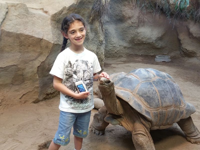 Plan Your Day Around The Live Animal Shows