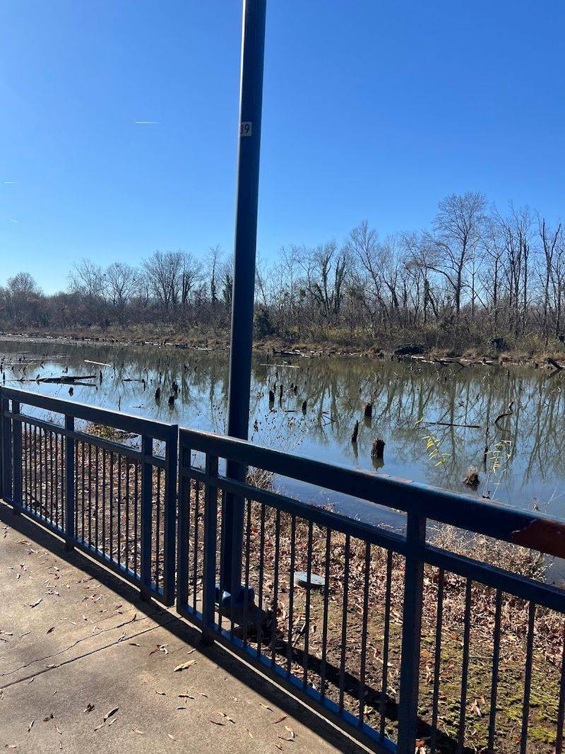 Wildlife, Boardwalks, and Hidden Scenic Corners