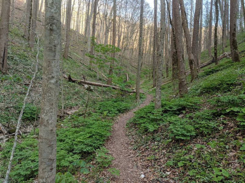 The Landmarks, Views, and Local Gems You Shouldn't Miss