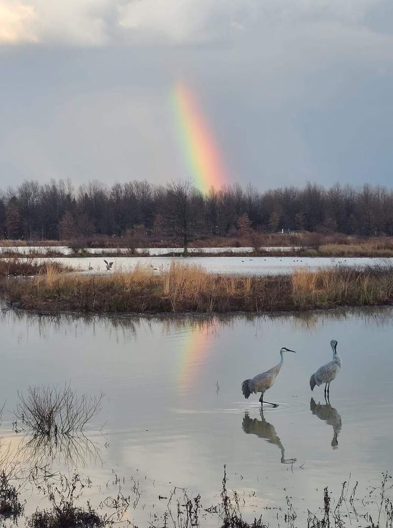 Sandy Ridge Reservation, North Ridgeville, Ohio