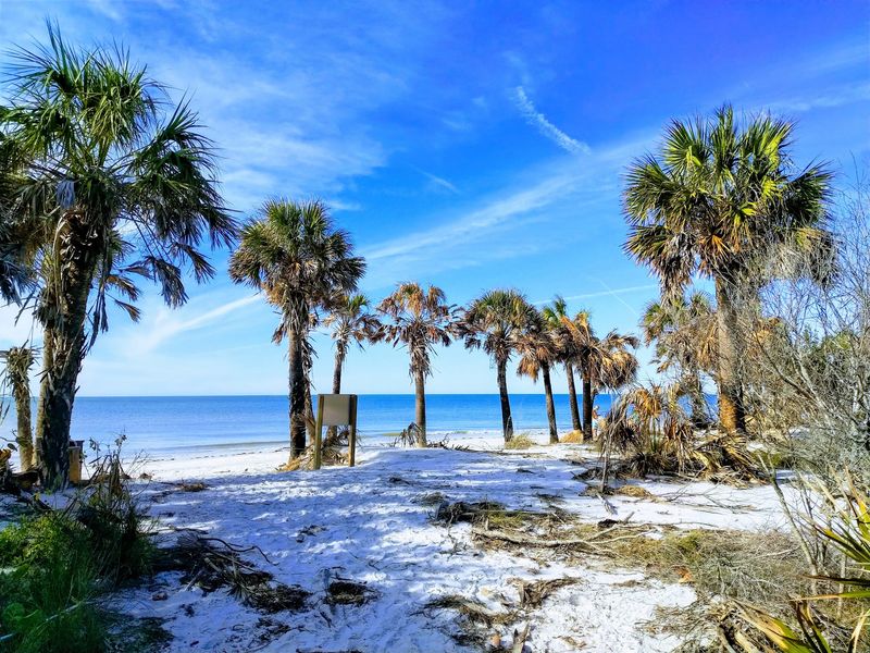 Caladesi Island State Park: The Beach You Have to Earn