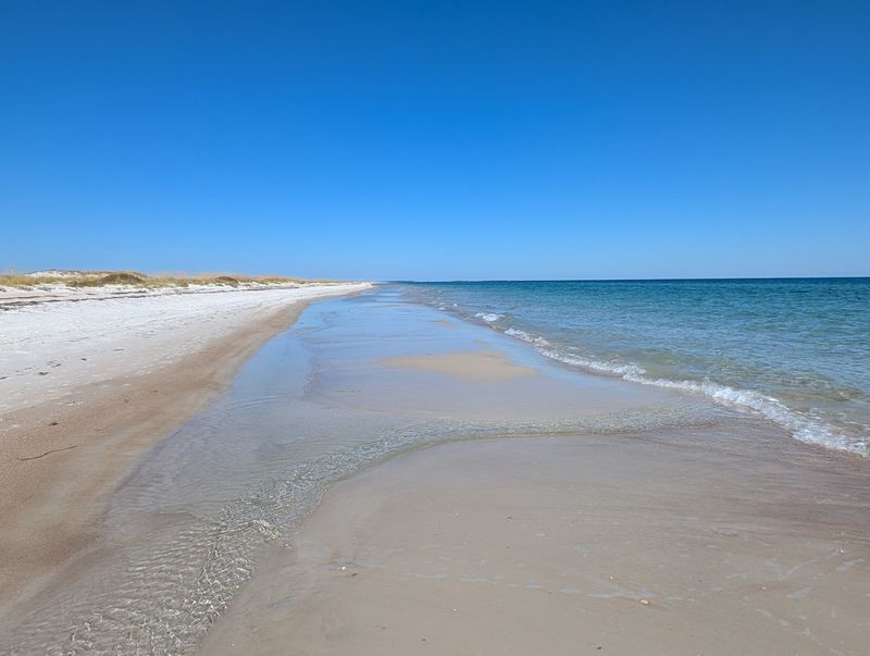 Dr. Julian G. Bruce St. George Island State Park (St. George Island)