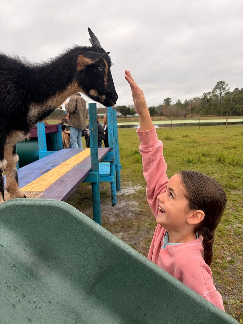 Let Kids Play in the Outdoor Recreation Area