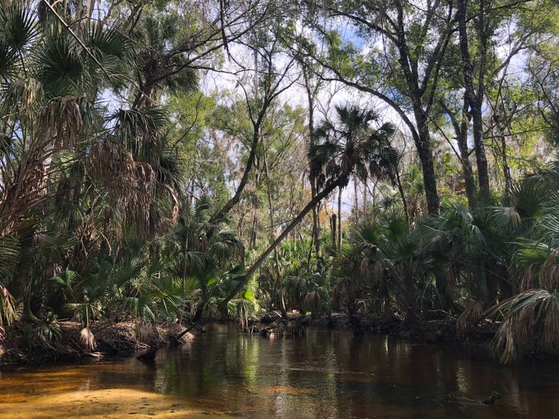 Beautiful Lakes and Natural Water Features