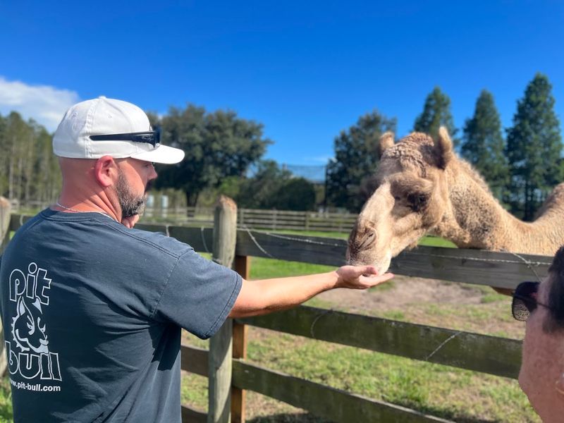 Hand-Feeding Exotic Animals Gets Your Heart Racing