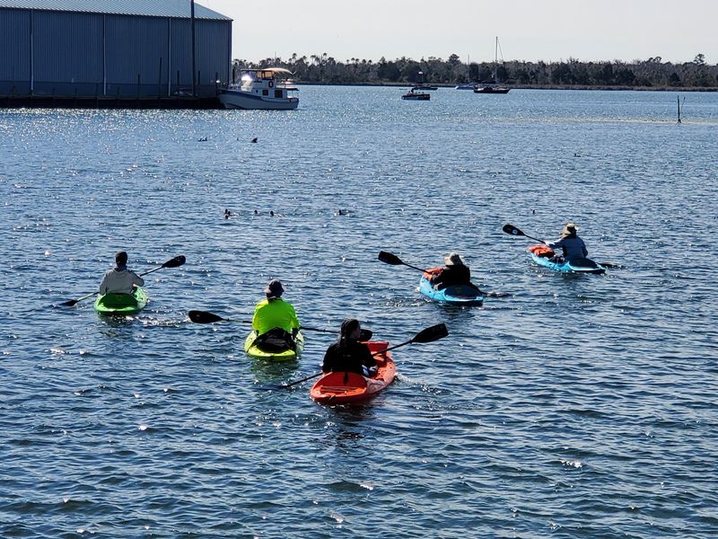 Launch Your Kayak Into Manatee Central