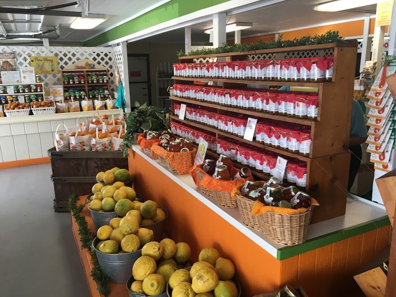 Grapefruits Worth the Effort