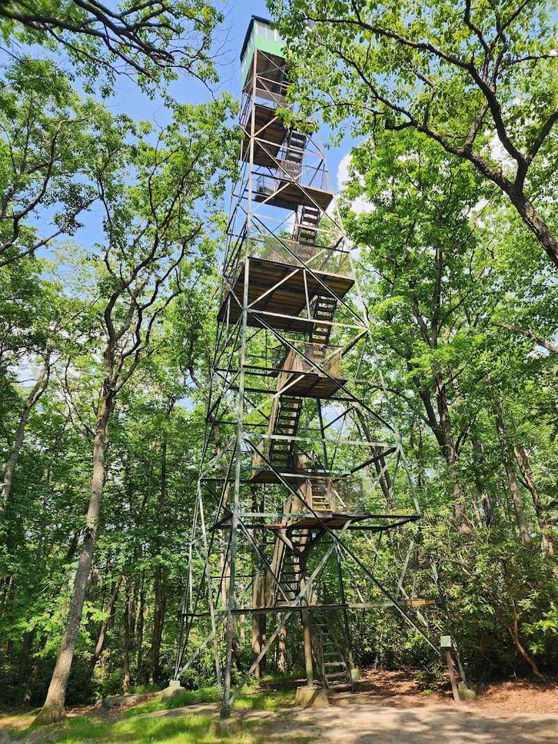 Cook Forest State Park