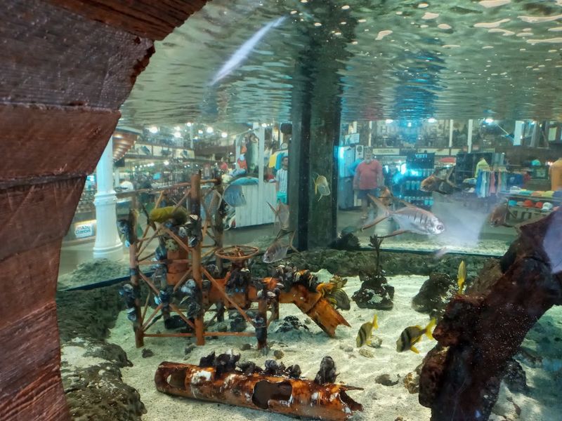 A Massive Aquarium That Steals The Show