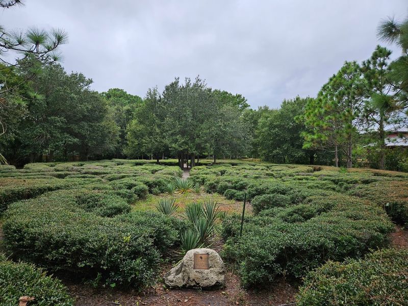 The Hidden Turtle Maze That Tricks Your Eyes