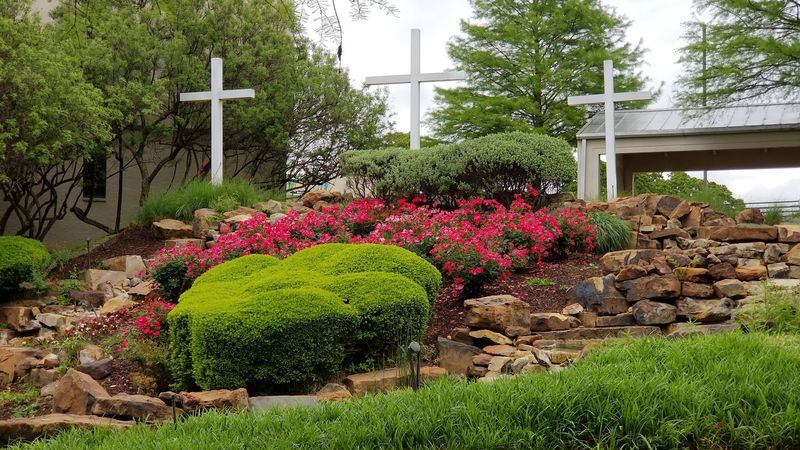 Cross City
