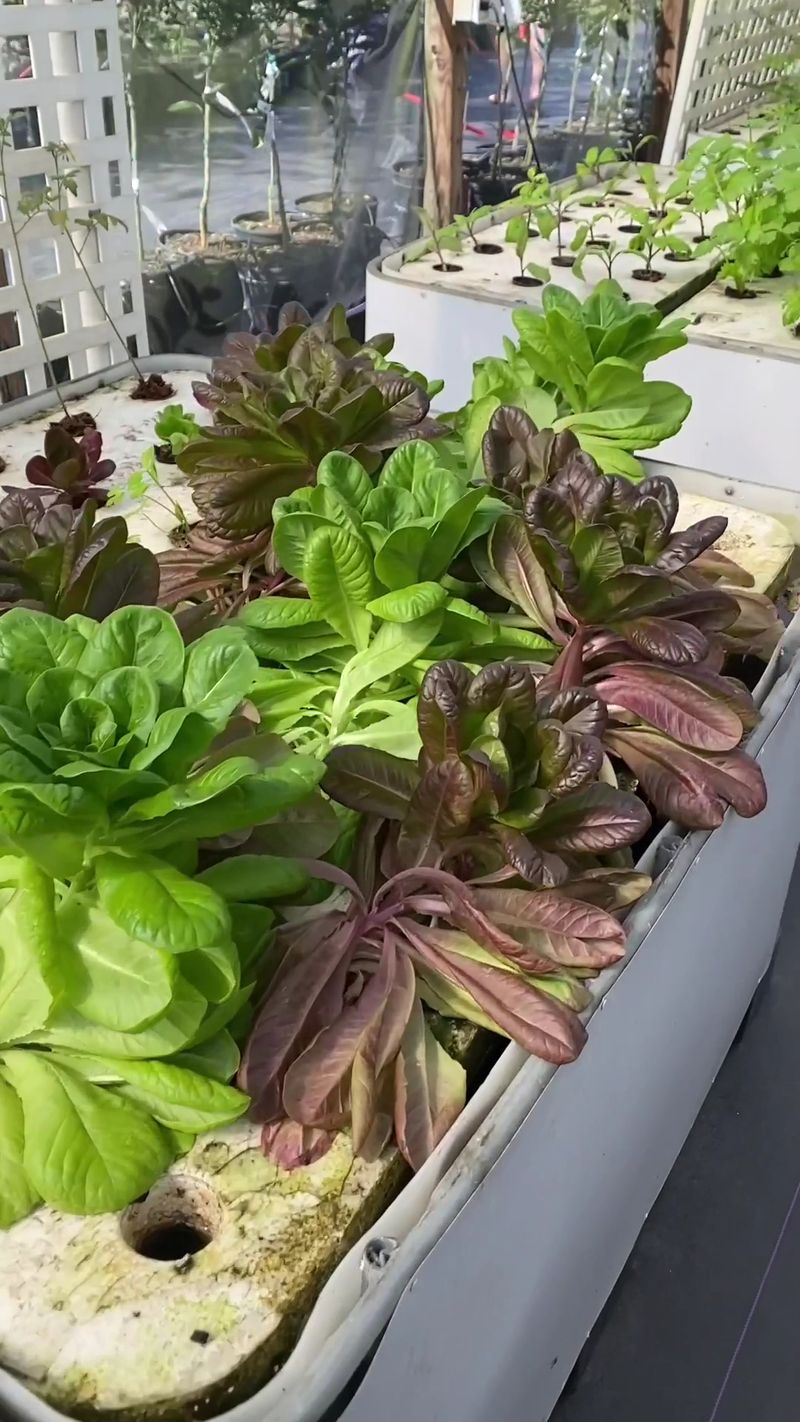 A Land of Delight Natural Farm & Nursery
