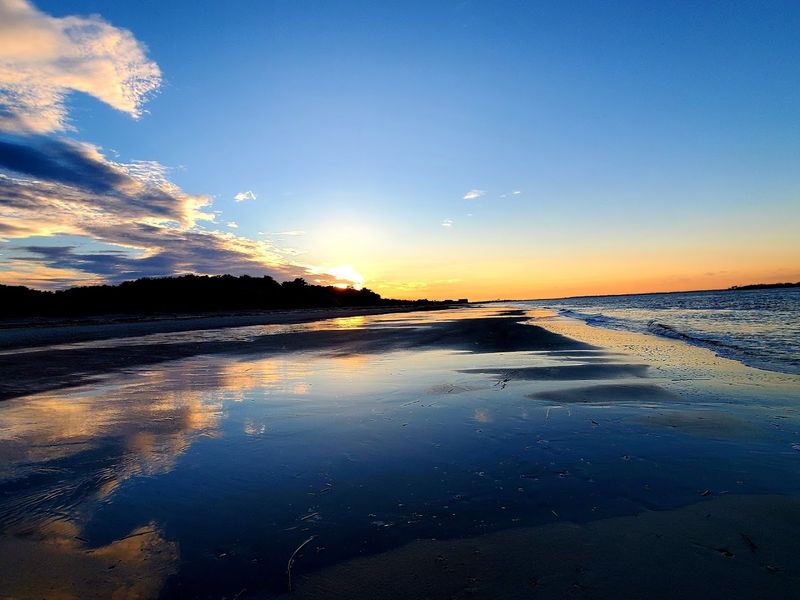 Dolphin and Wildlife Watching