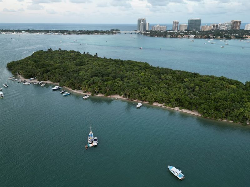 Beyond Raccoons: The Whole Island Experience