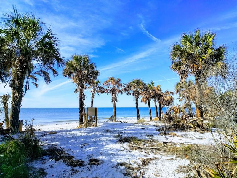 Caladesi Island State Park (Dunedin)