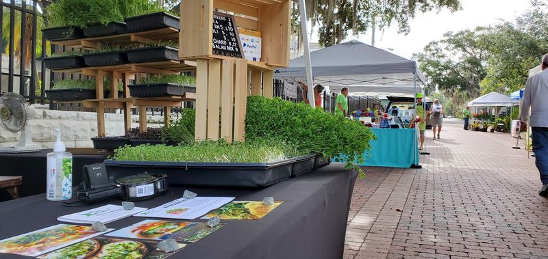 Mount Dora Village Market