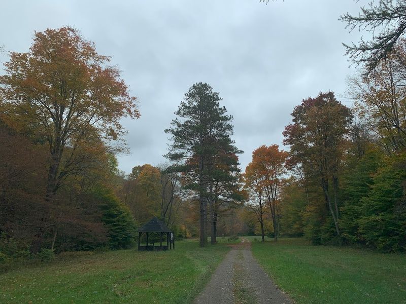 When To Go: Seasons, Weather, and Best Conditions