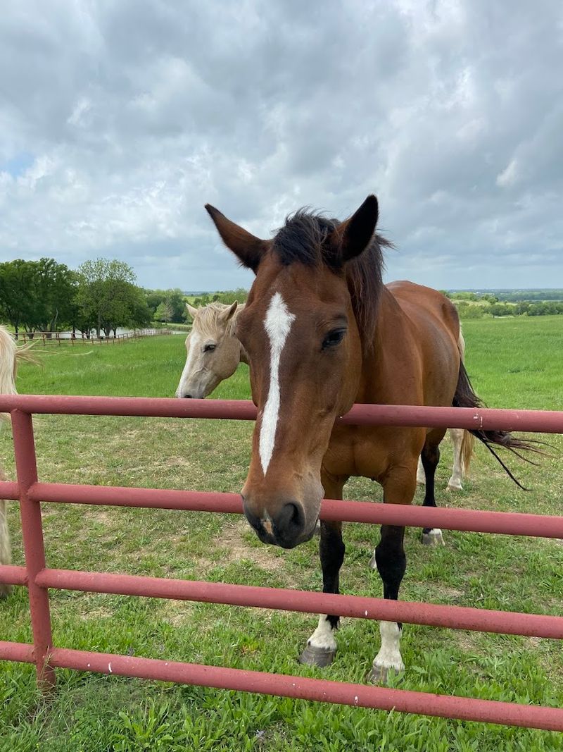 Sugar Ridge and Mr. Holy's Field for Instagram Gold