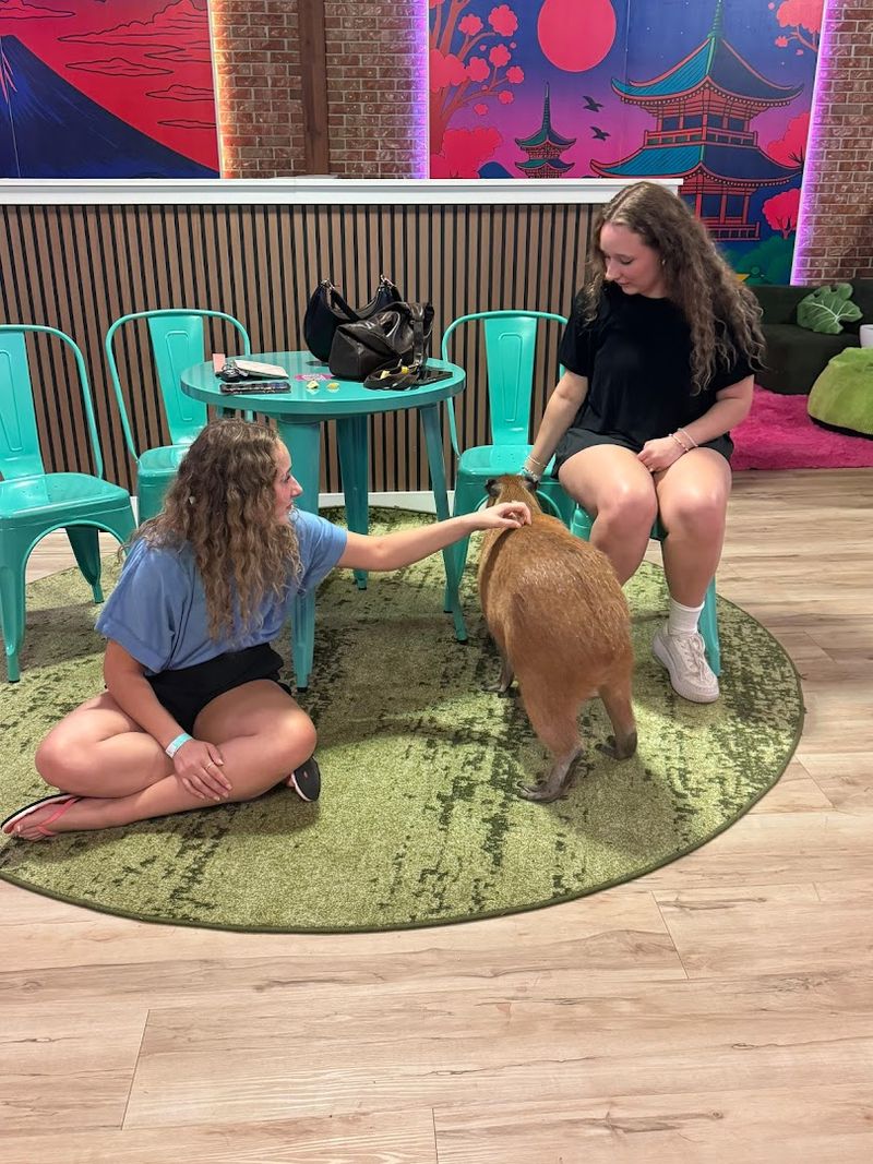 Seating Options Explained: Garden Tables, Lounges, and What to Pick