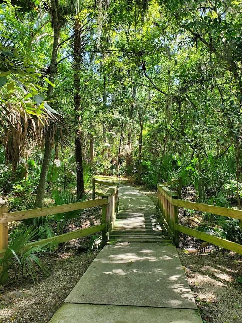 Shaded Trails: Paved And Wild