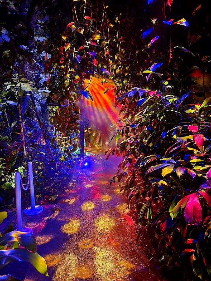 Events, App Map, and Visitor Tips