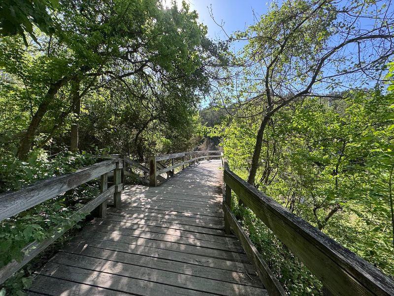 Boardwalk Trails Through River Bottom