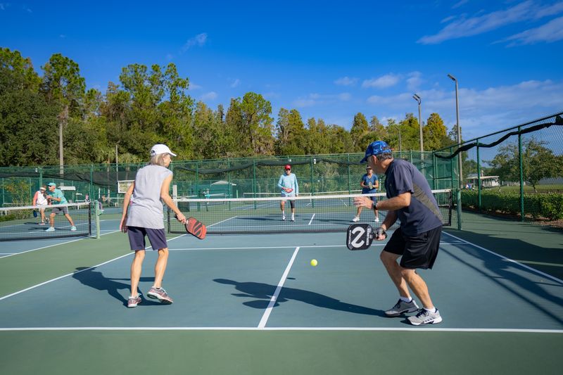Pickleball, Tennis, and Shuffleboard for the Competitively Inclined