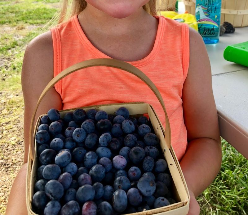 Sanders Family Farm (Royse City)