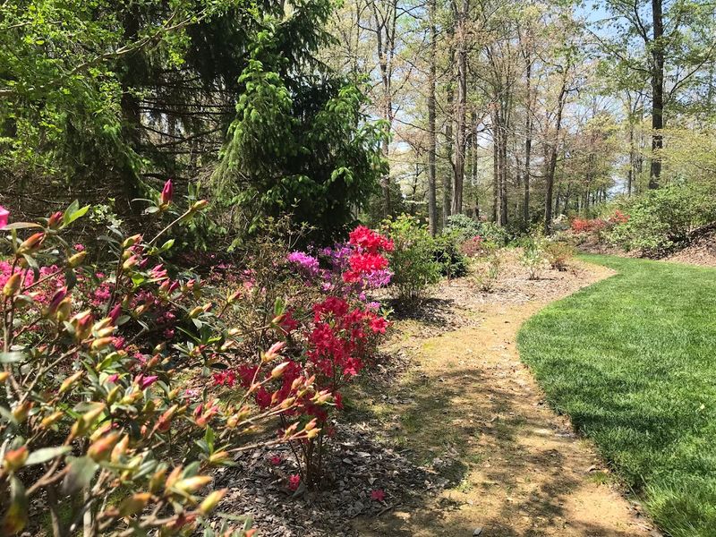 Flowers, Bumblebees, and Quiet Paths Make This Spot So Special