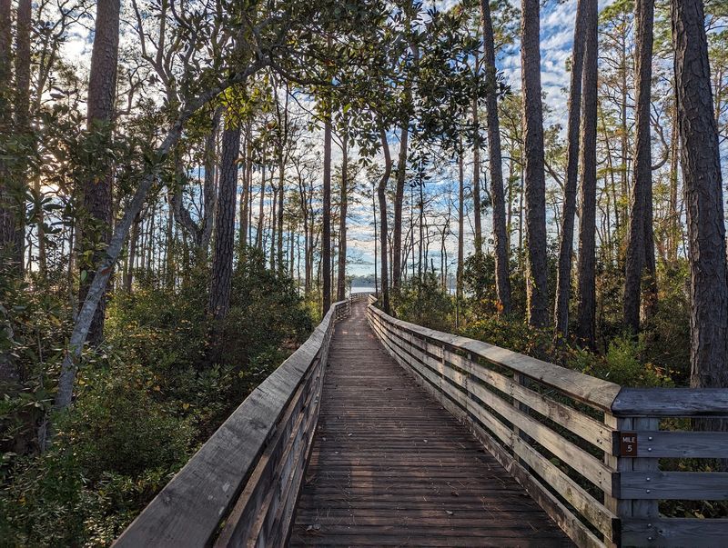 Tarkiln Bayou Trail (Pensacola)